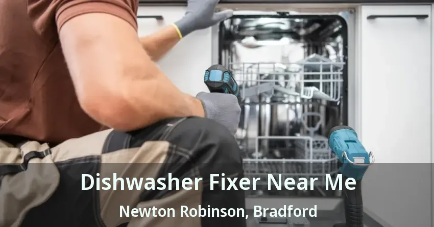 Dishwasher Fixer Near Me Newton Robinson, Bradford - ON