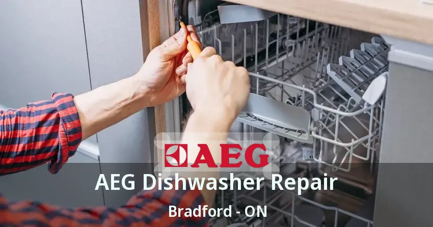 AEG Dishwasher Repair Bradford - ON