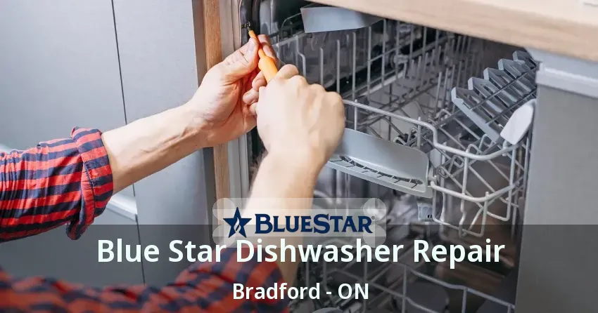 Blue Star Dishwasher Repair Bradford - ON
