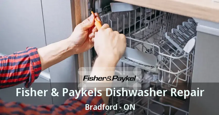 Fisher & Paykels Dishwasher Repair Bradford - ON
