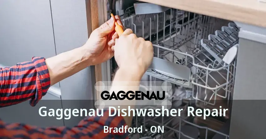 Gaggenau Dishwasher Repair Bradford - ON