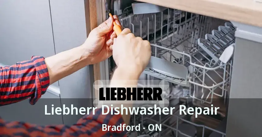 Liebherr Dishwasher Repair Bradford - ON