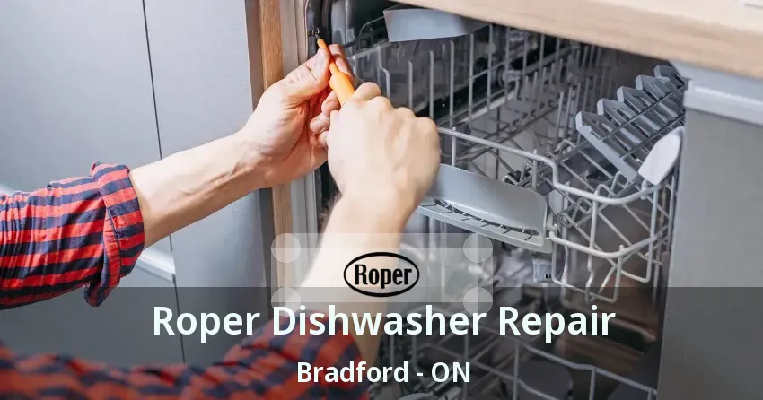 Roper Dishwasher Repair Bradford - ON