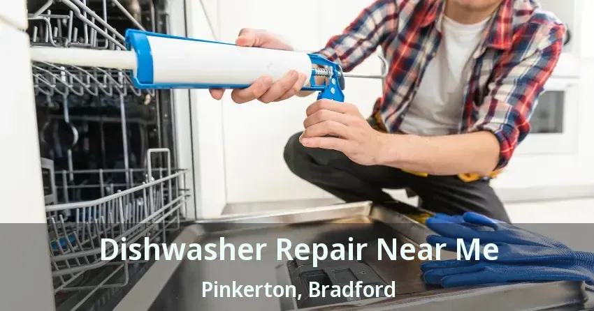 Dishwasher Repair Near Me Pinkerton, Bradford - ON