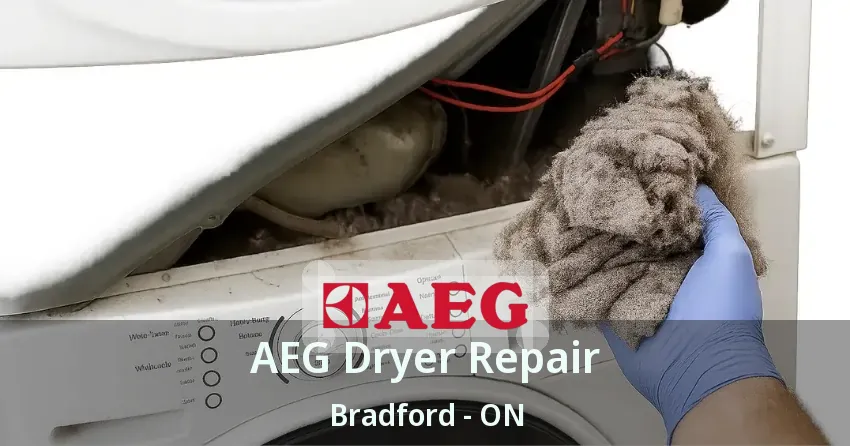 AEG Dryer Repair Bradford - ON