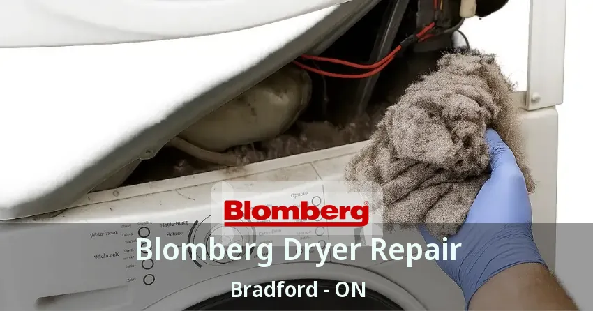 Blomberg Dryer Repair Bradford - ON