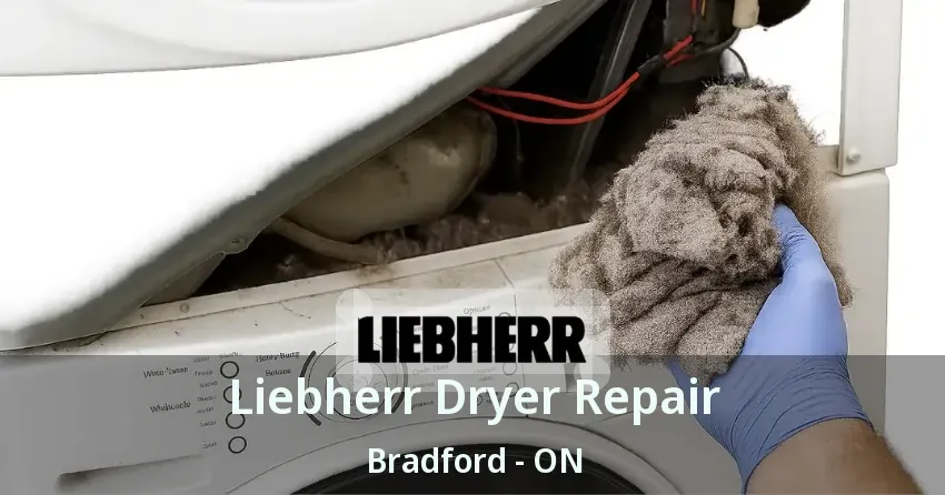 Liebherr Dryer Repair Bradford - ON