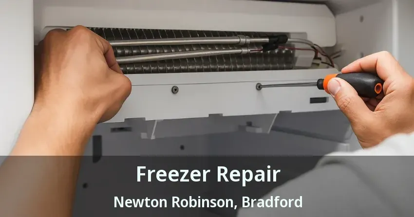 Freezer Repair Newton Robinson, Bradford - ON