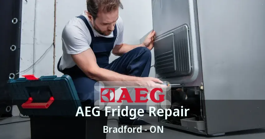 AEG Fridge Repair Bradford - ON