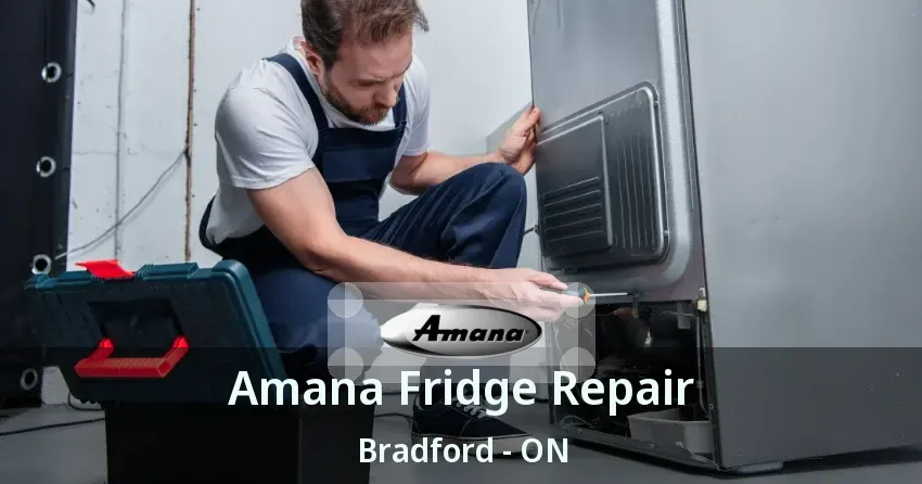 Amana Fridge Repair Bradford - ON
