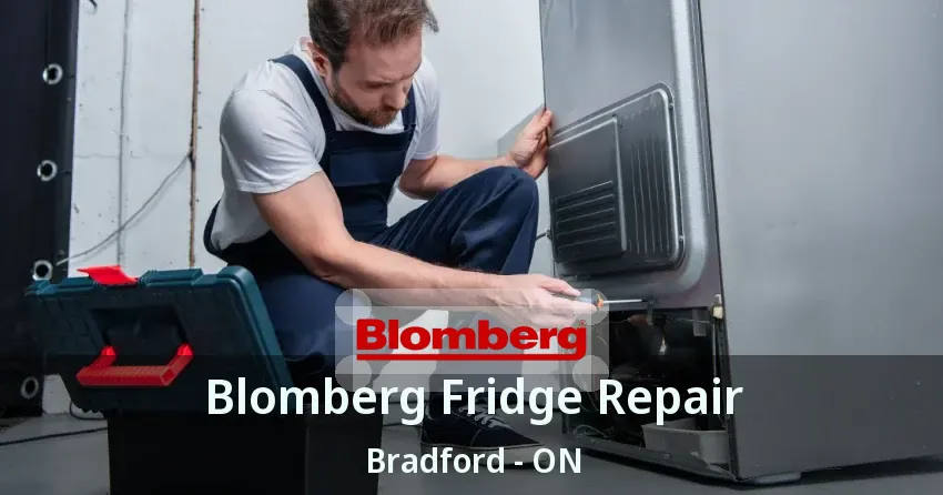 Blomberg Fridge Repair Bradford - ON
