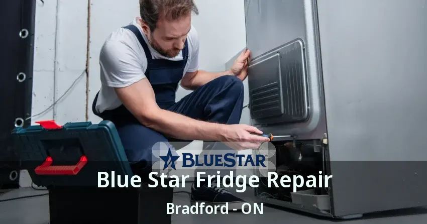 Blue Star Fridge Repair Bradford - ON