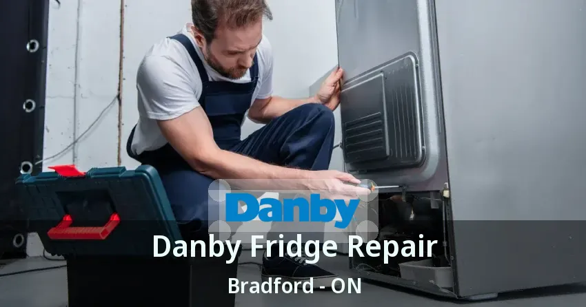 Danby Fridge Repair Bradford - ON