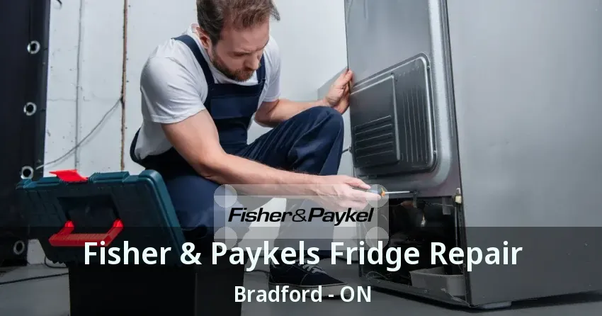 Fisher & Paykels Fridge Repair Bradford - ON