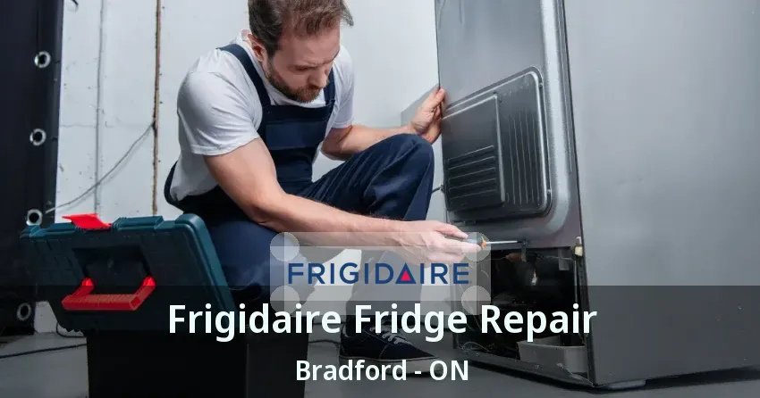 Frigidaire Fridge Repair Bradford - ON