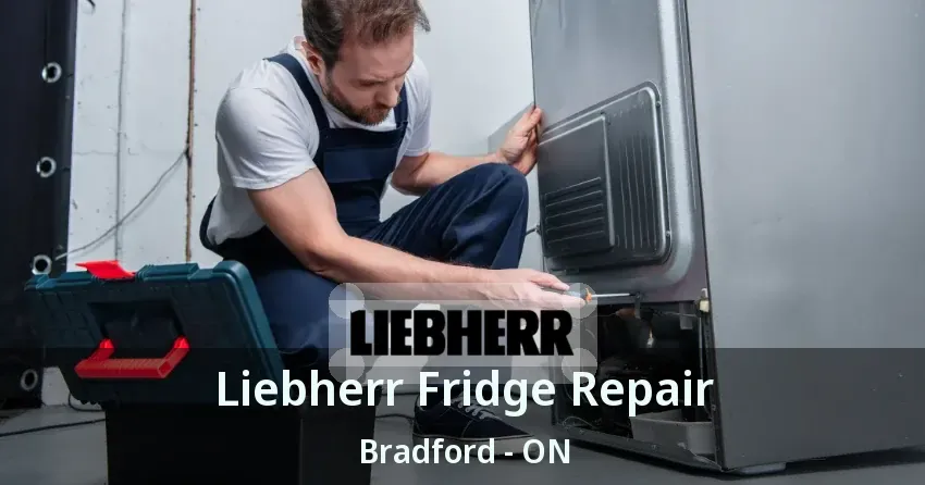 Liebherr Fridge Repair Bradford - ON