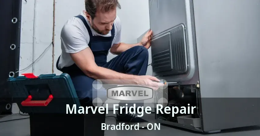 Marvel Fridge Repair Bradford - ON