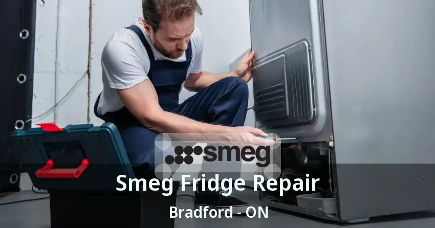 Smeg Fridge Repair Bradford - ON