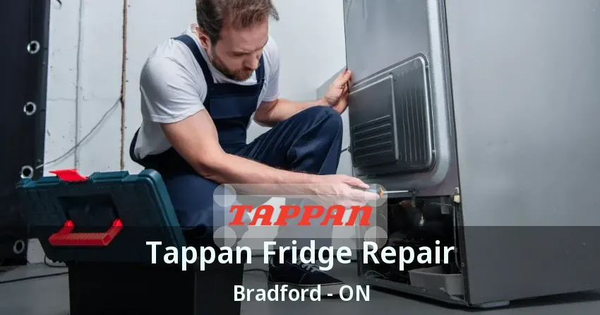 Tappan Fridge Repair Bradford - ON