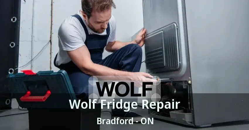 Wolf Fridge Repair Bradford - ON