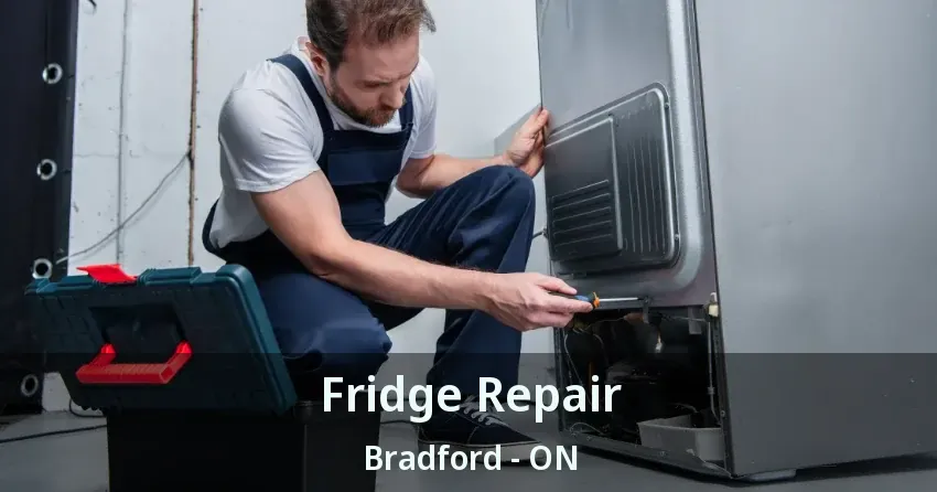 Fridge Repair Bradford - ON