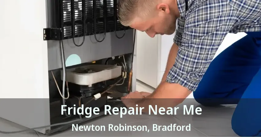 Fridge Repair Near Me Newton Robinson, Bradford - ON