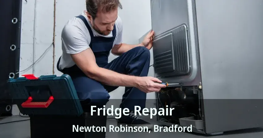 Fridge Repair Newton Robinson, Bradford - ON