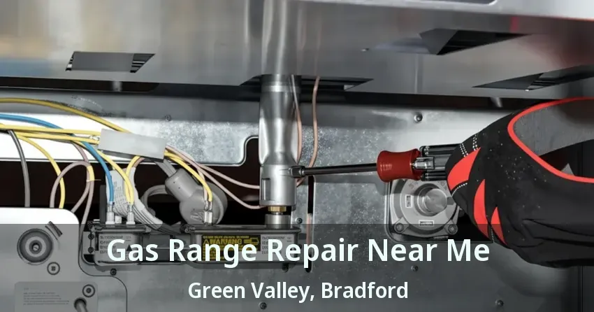 Gas Range Repair Near Me Green Valley, Bradford - ON