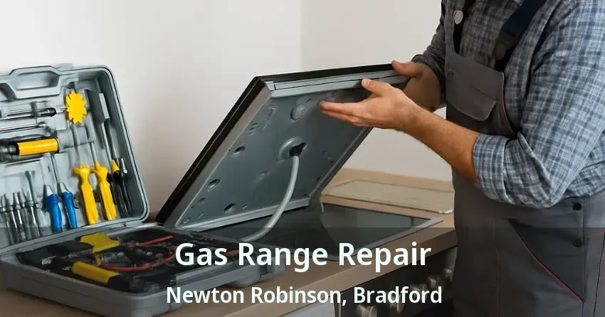 Gas Range Repair Newton Robinson, Bradford - ON