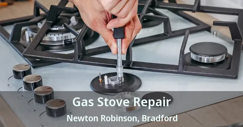 Gas Stove Repair Newton Robinson, Bradford - ON