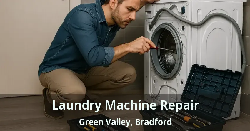 Laundry Machine Repair Green Valley, Bradford - ON