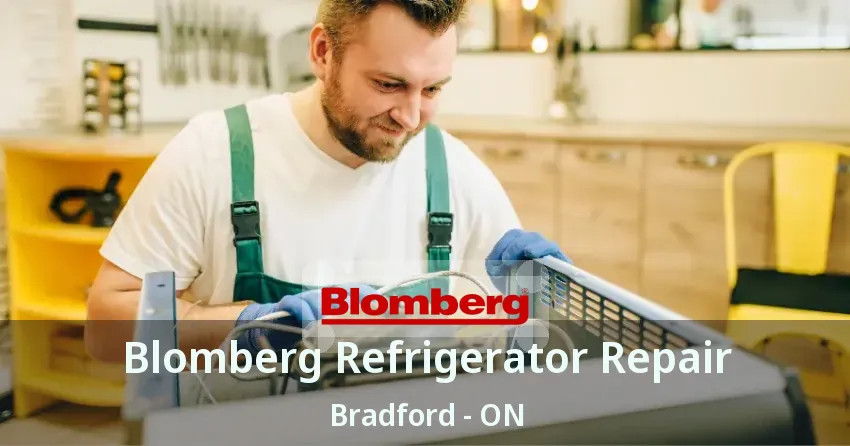 Blomberg Refrigerator Repair Bradford - ON