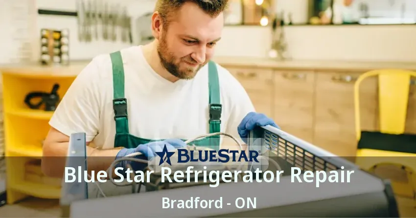 Blue Star Refrigerator Repair Bradford - ON