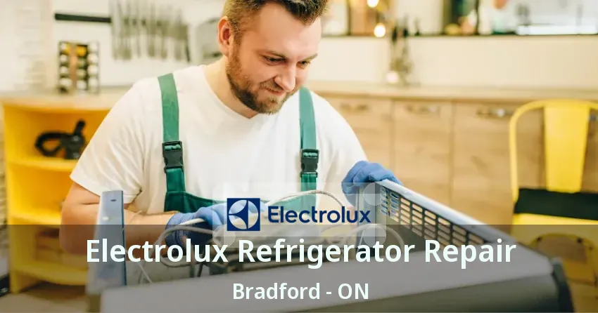 Electrolux Refrigerator Repair Bradford - ON