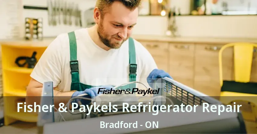 Fisher & Paykels Refrigerator Repair Bradford - ON