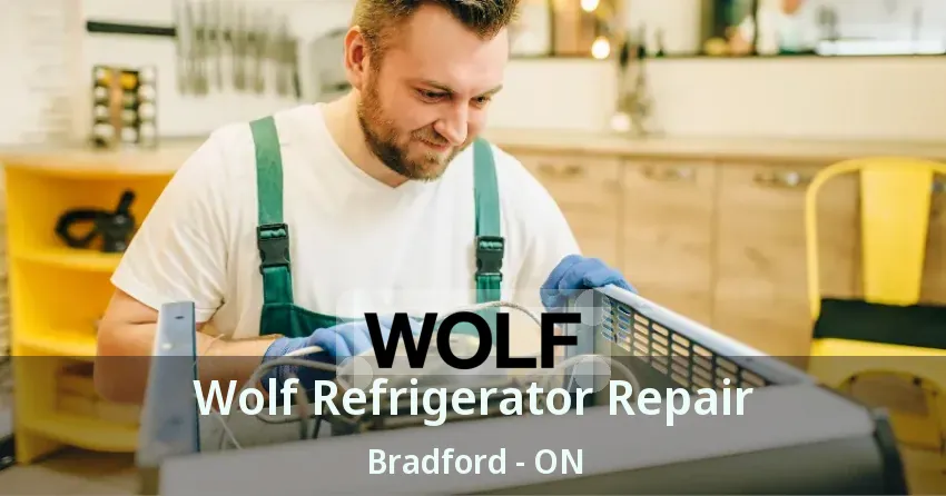 Wolf Refrigerator Repair Bradford - ON