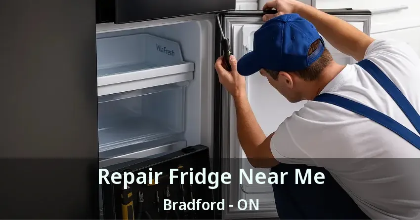 Repair Fridge Near Me Bradford - ON