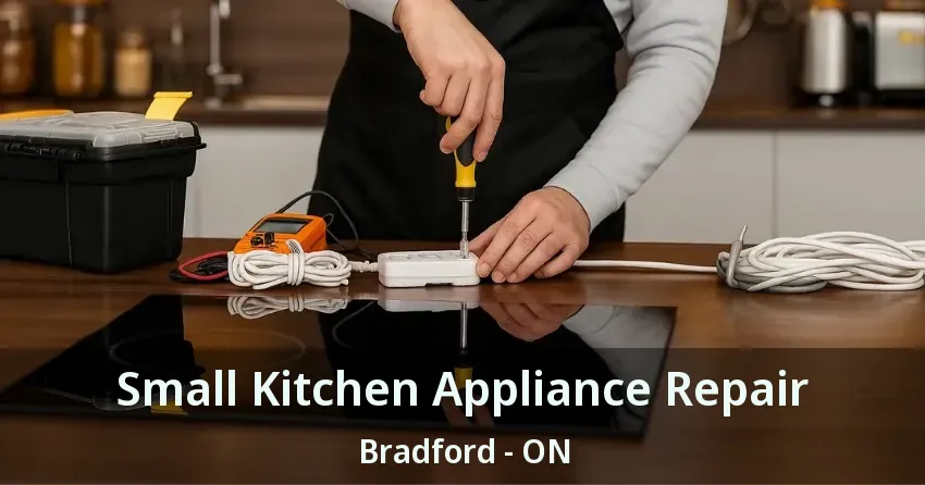 Small Kitchen Appliance Repair Bradford - ON