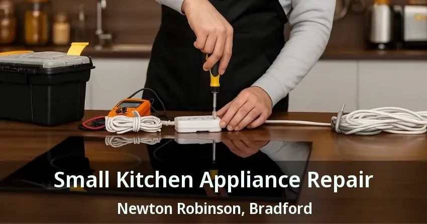 Small Kitchen Appliance Repair Newton Robinson, Bradford - ON