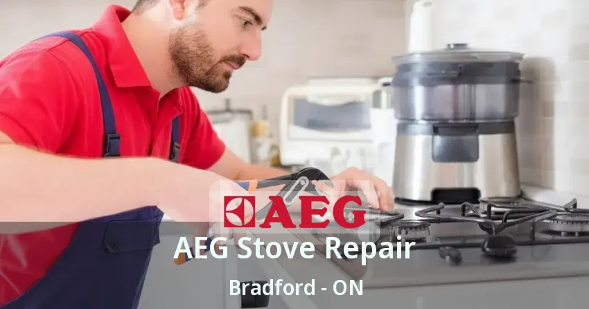 AEG Stove Repair Bradford - ON