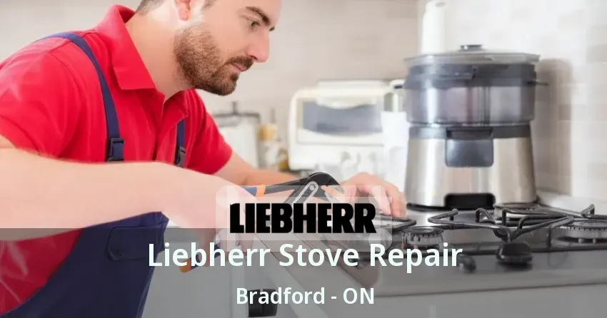 Liebherr Stove Repair Bradford - ON