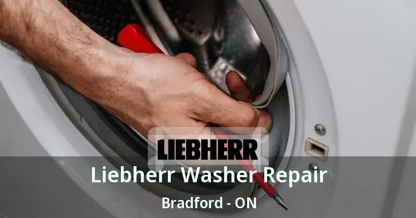 Liebherr Washer Repair Bradford - ON